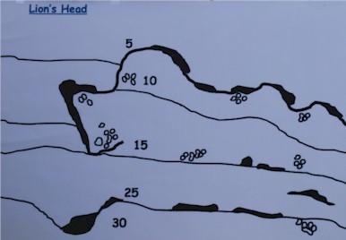 Lions Head
